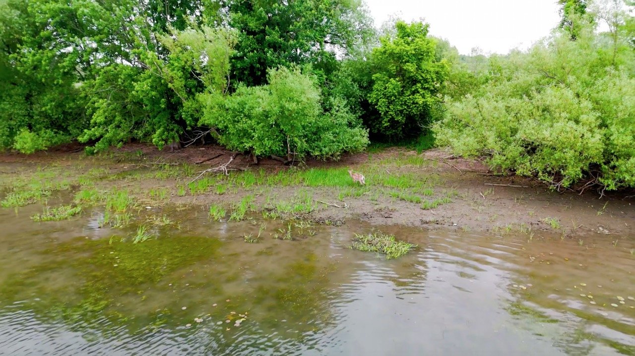 Rivière serpentant dans un paysage verdoyant
