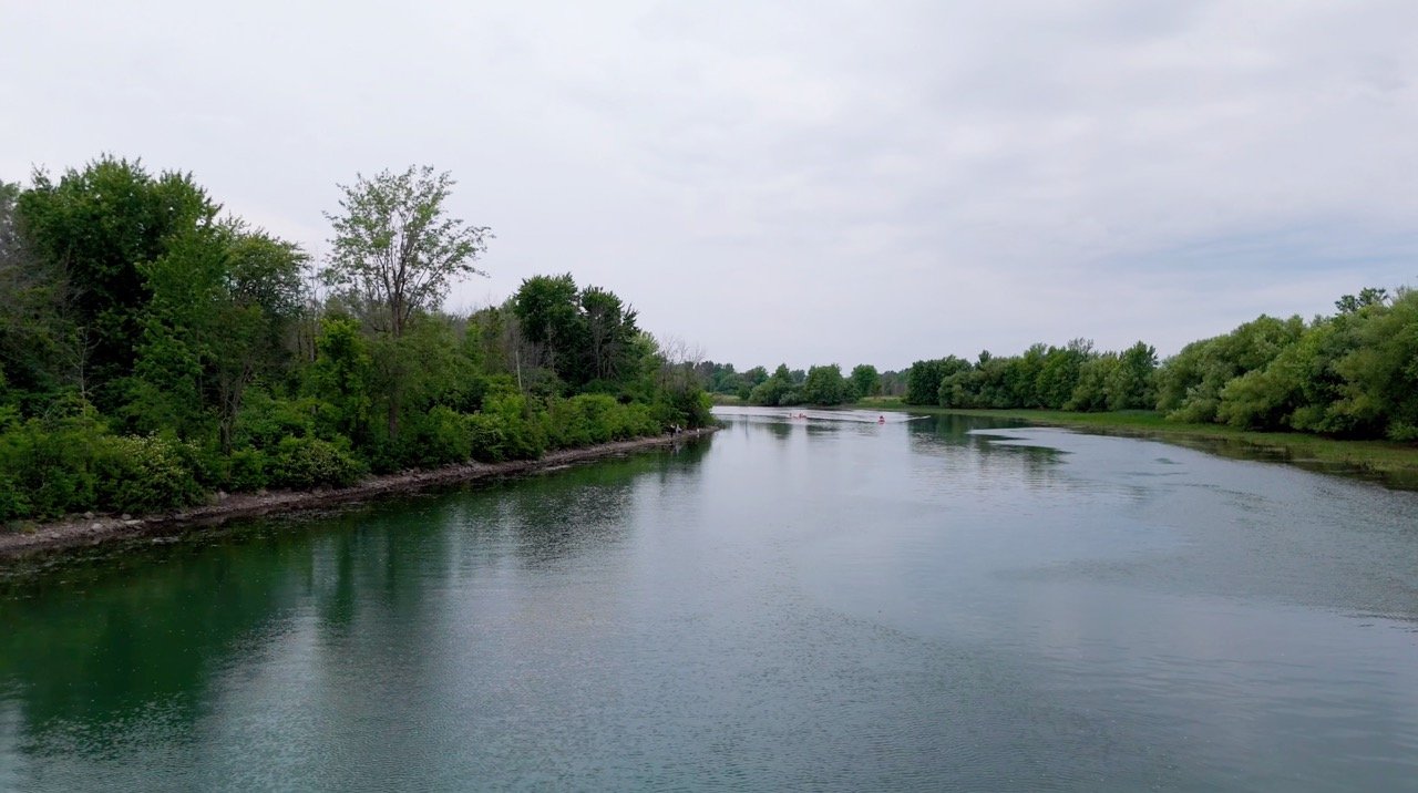 Méandre de rivière entouré d'arbres