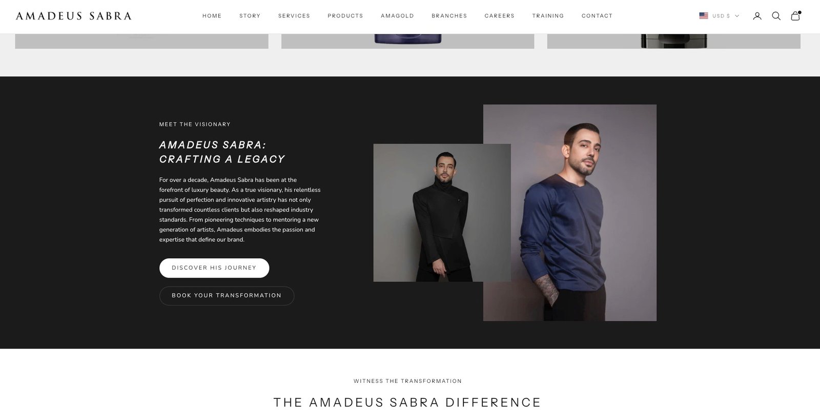 Section À propos de l'artiste