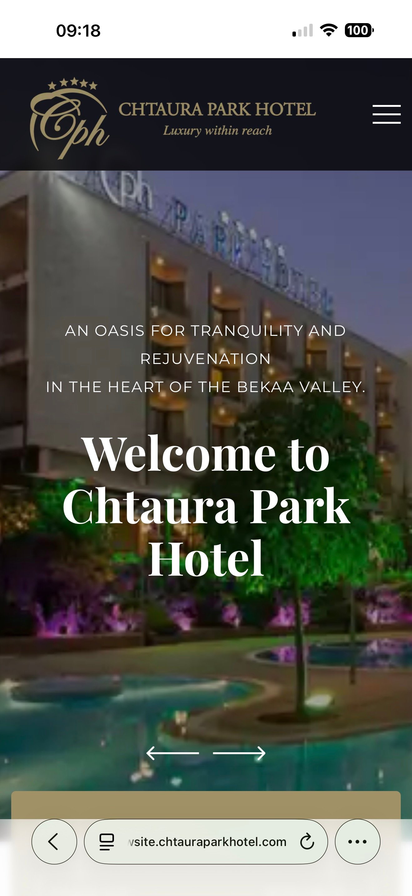 Page d'accueil sur mobile