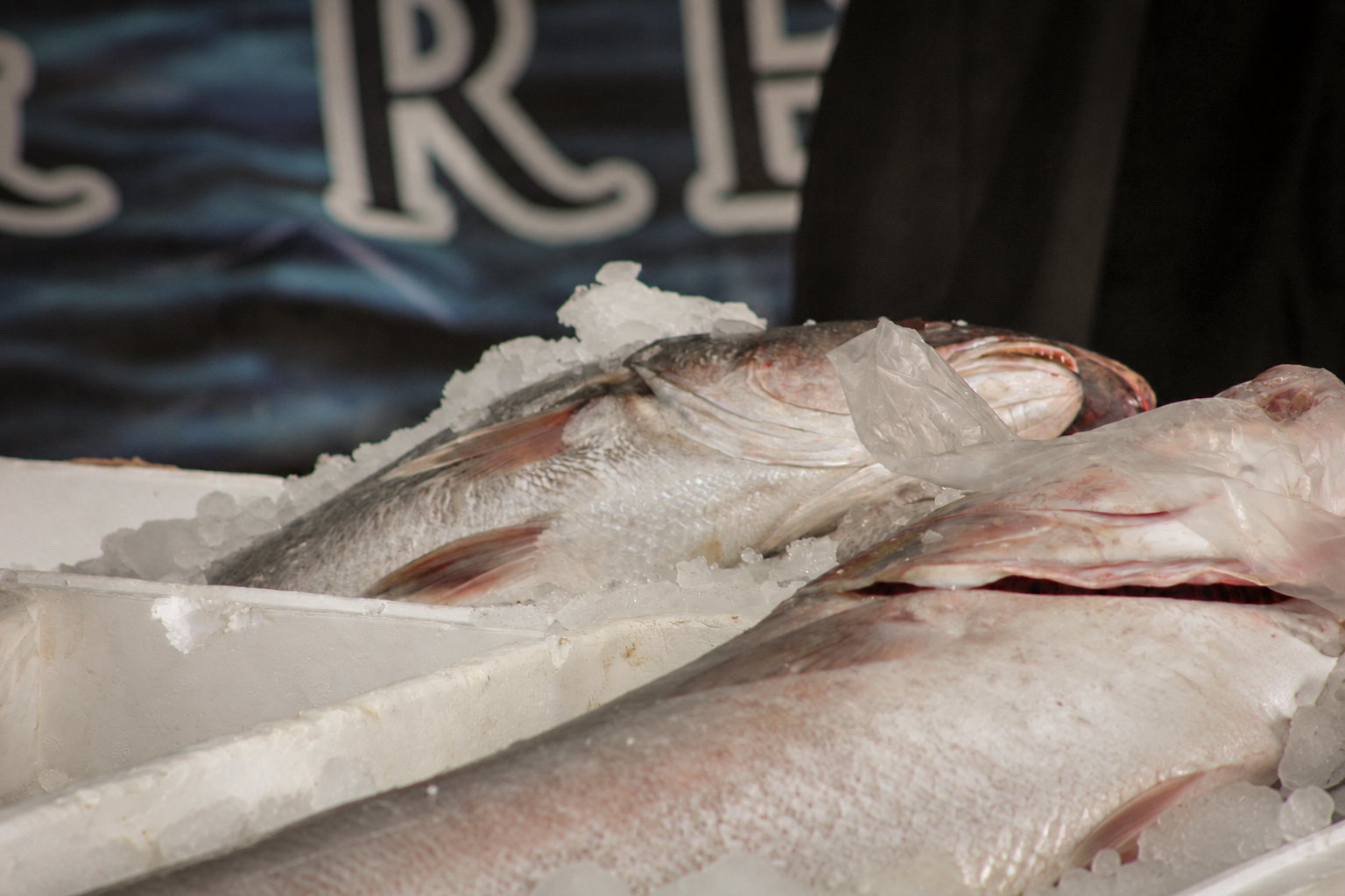 Des poissons entiers sur la glace, en gros plan