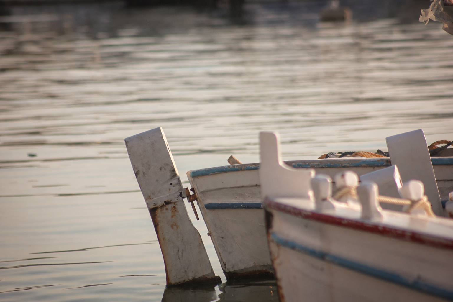 La proue de deux barques sur une eau calme