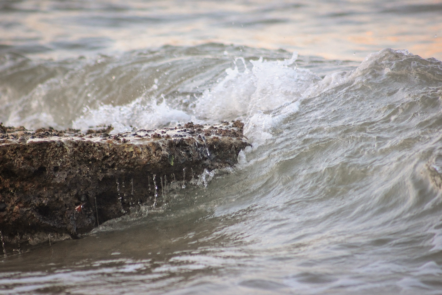 Une vague qui se brise sur les rochers