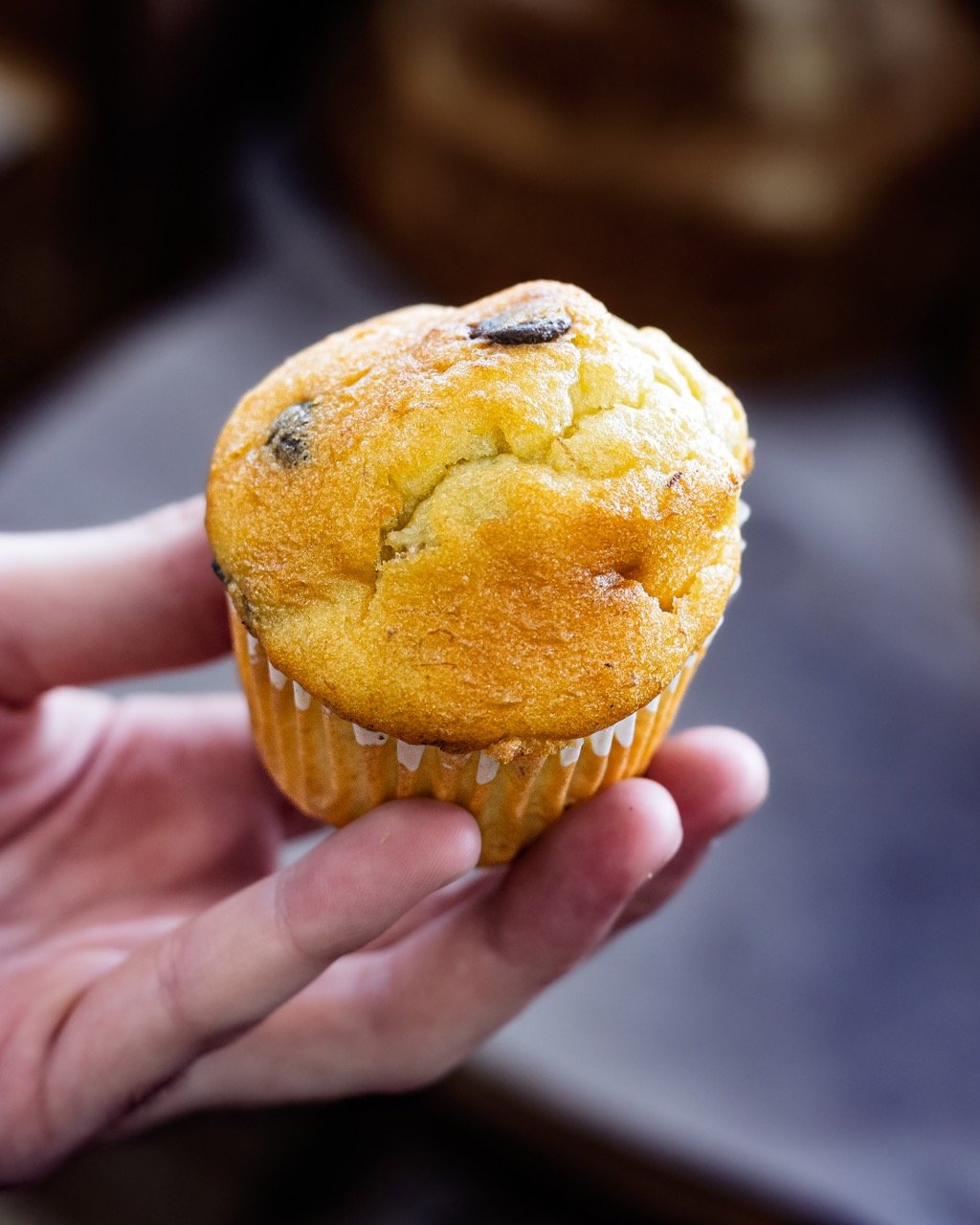 Main tenant un cupcake frais