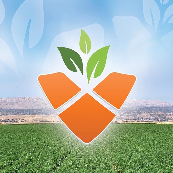 Identité de marque Fresh Products