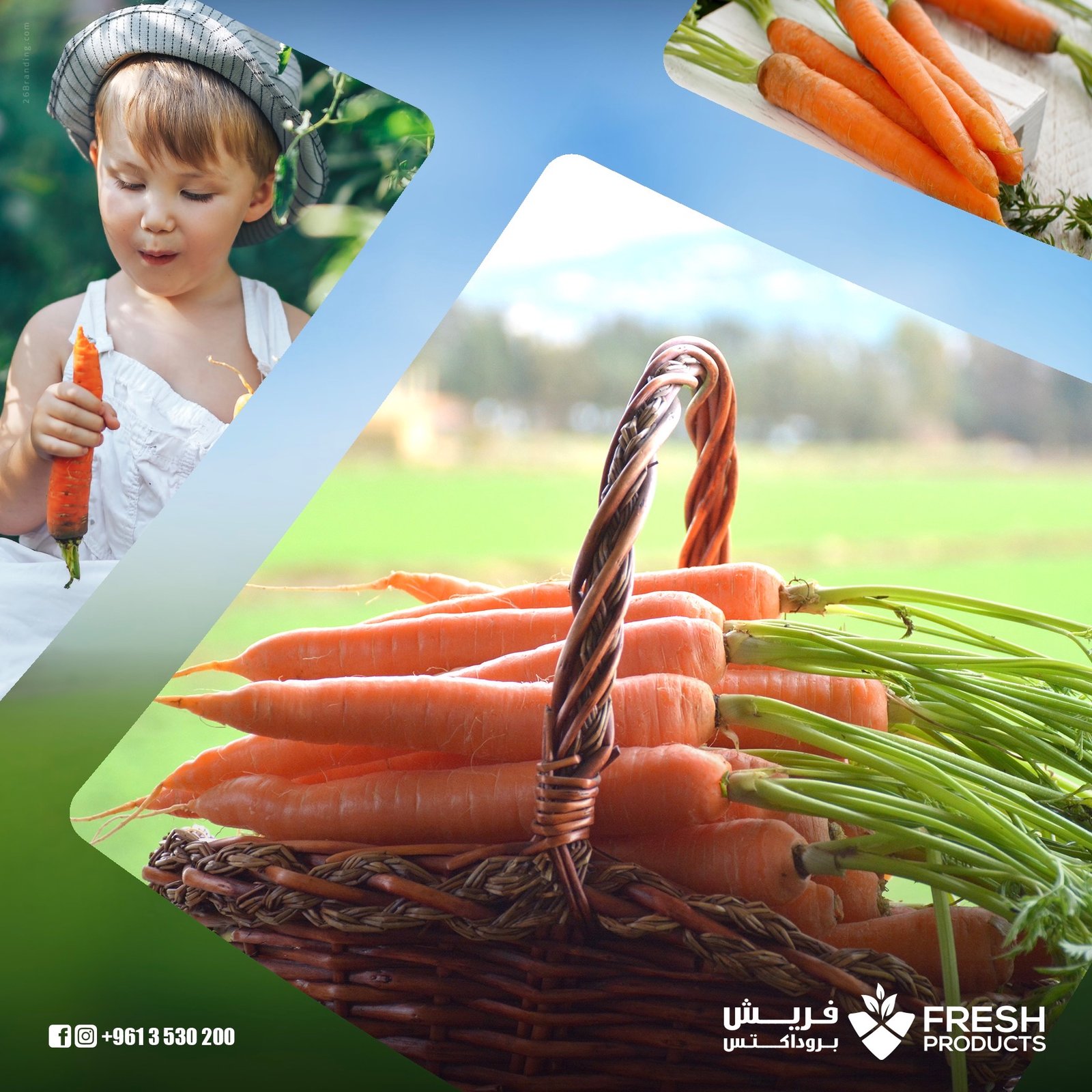 Publication sociale de style de vie