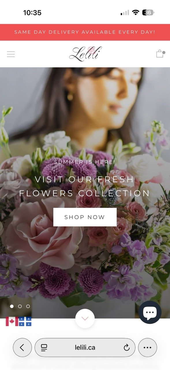 Page d'accueil sur mobile