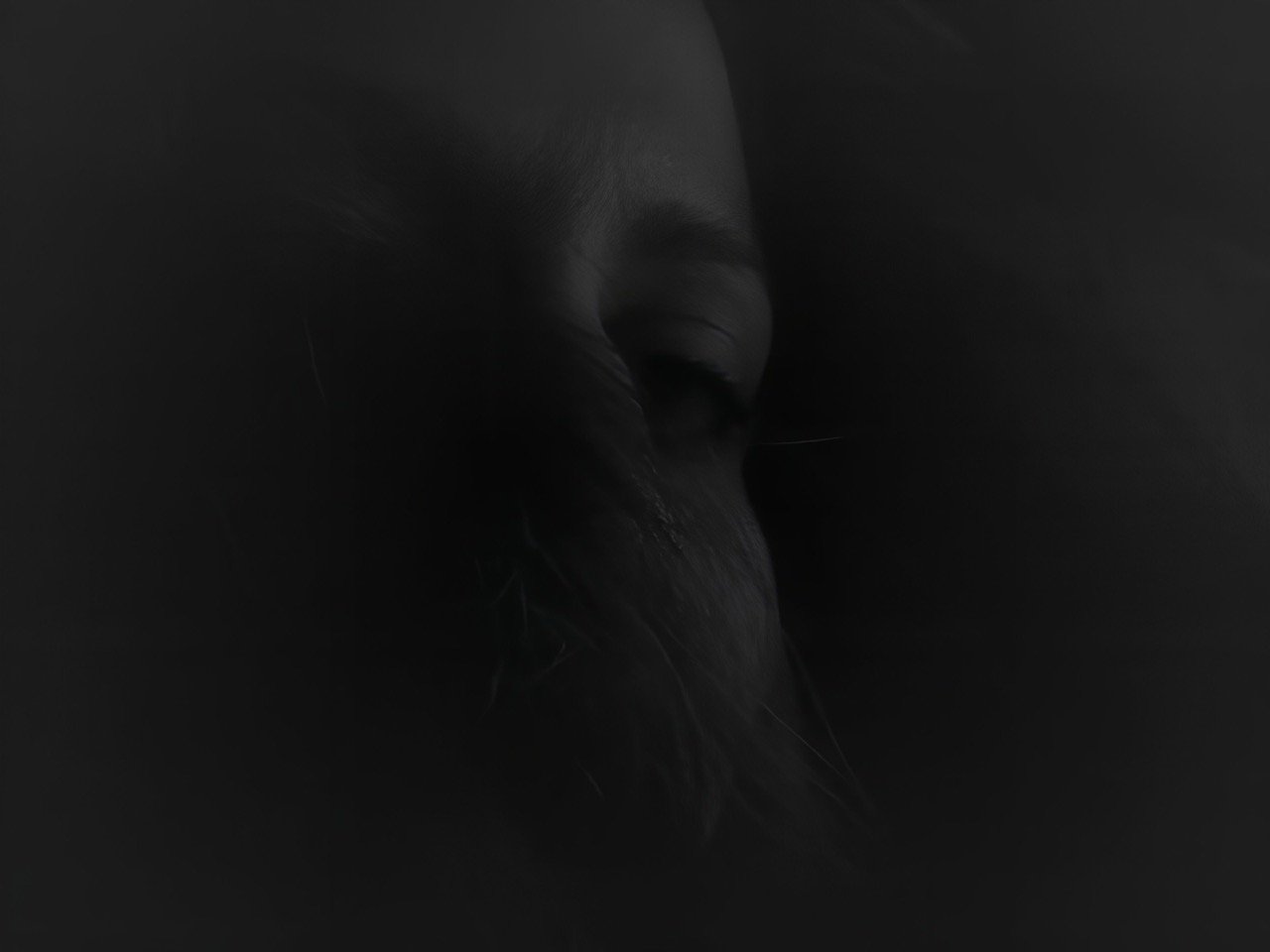Portrait 1