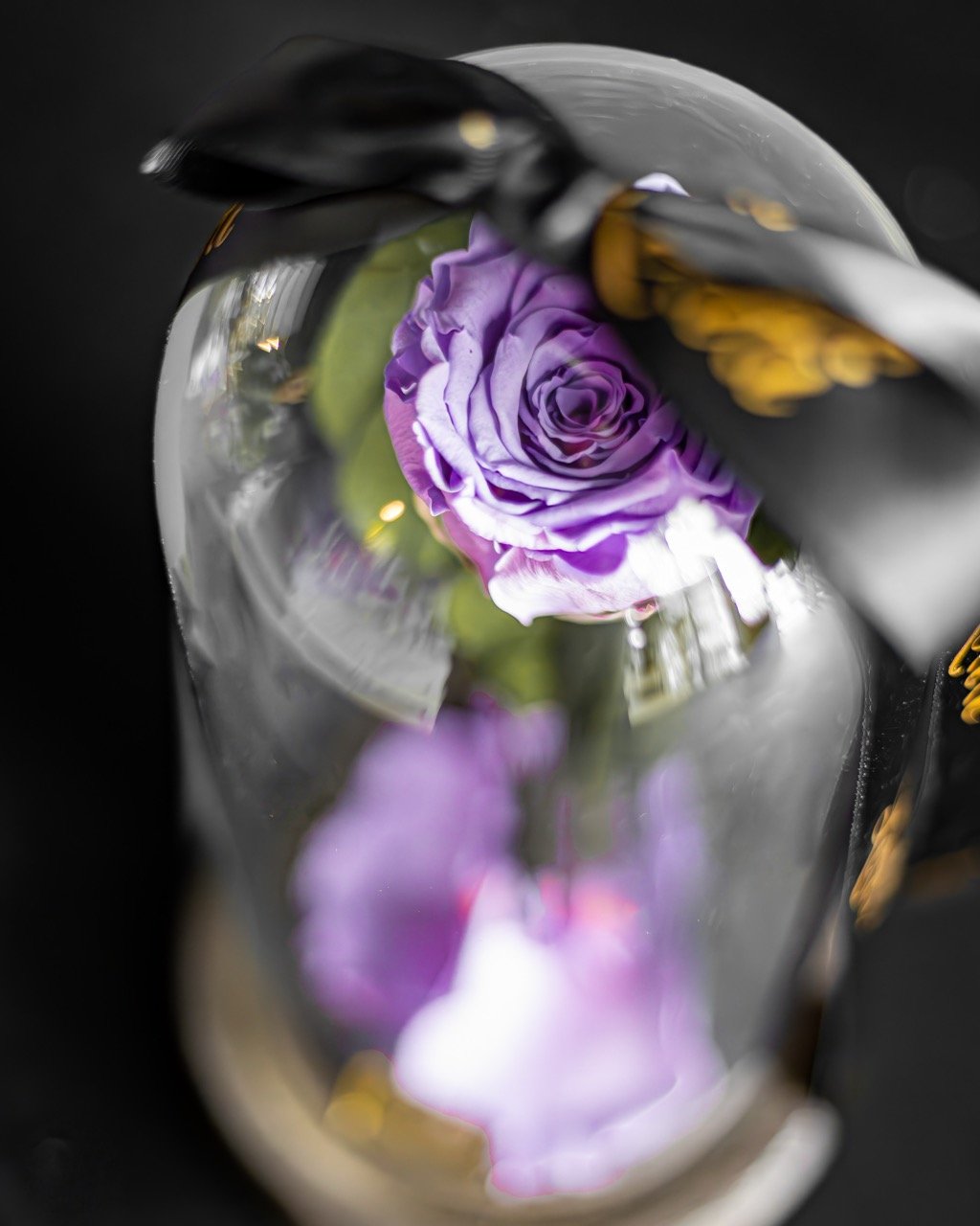 Fleurs violettes en nature morte