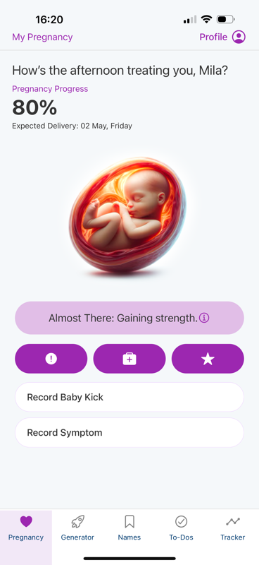 The main app dashboard.