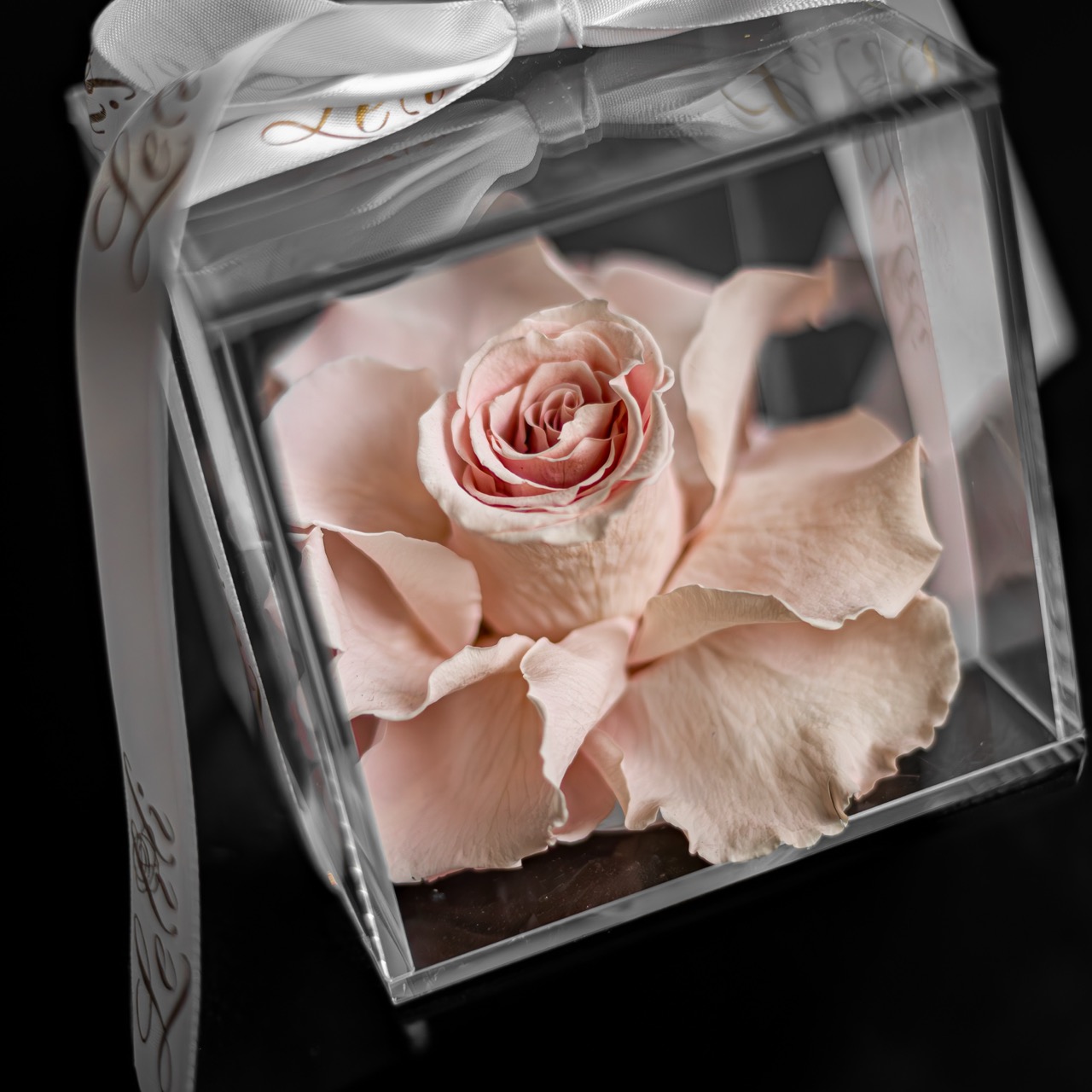 Still Life Photo of preserved roses in a box.