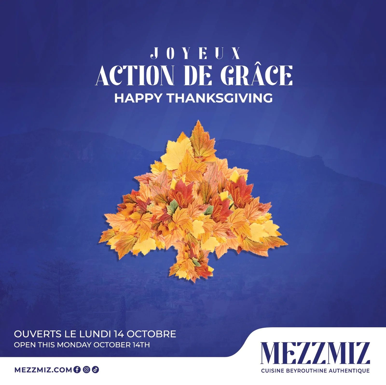 Cinematic video content for Mezzmiz.