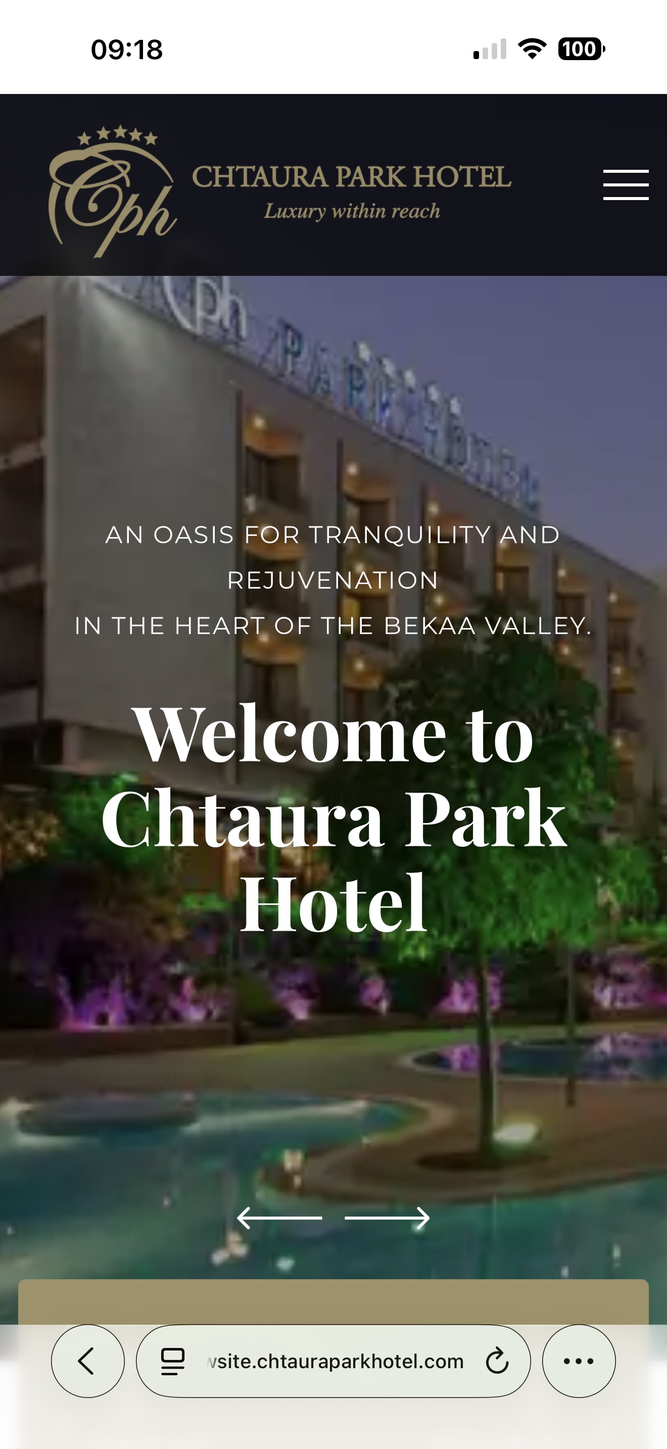 The hotel website homepage on mobile.